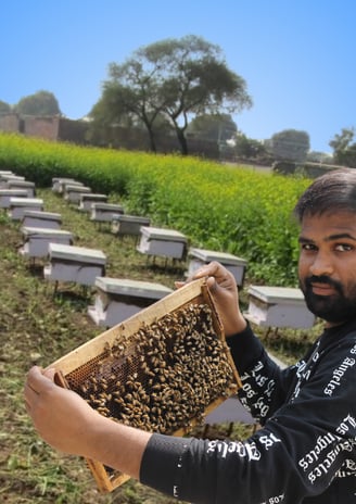 Best Organic Honey In India