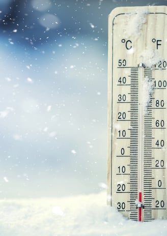 traitement punaise de lit par le froid 