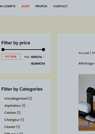 Exemple de site Web fait par NeoCodex