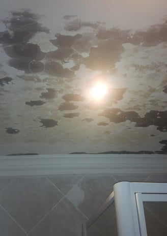 Severe Black Mould Growth on Bathroom Ceiling