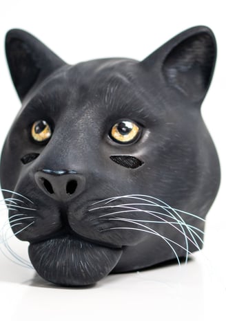 a black cat with yellow eyes