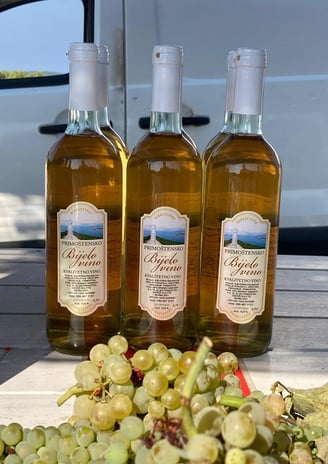 Three bottles of Primošten white wine “Bijelo vino” with grapes in front, produced by OPG Branko Mar