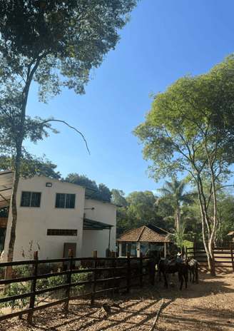 Finca de venta inmobiliaria krekeet