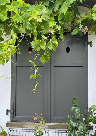 Double volet en bois gris