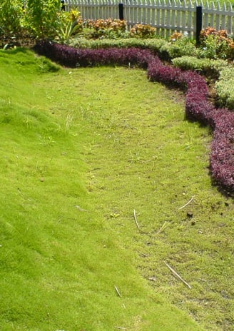 Eco-friendly vertical garden installation by Urbanspike Agro Fresh Pvt Ltd