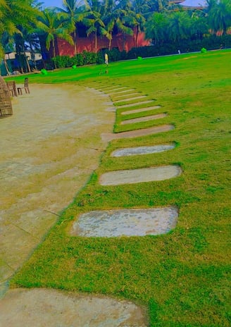 Smart irrigation system for green infrastructure development