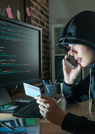 Fraud Awareness and Risk Management in the Public Sector