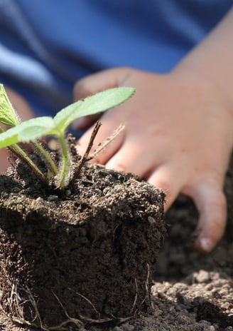 potager de famille