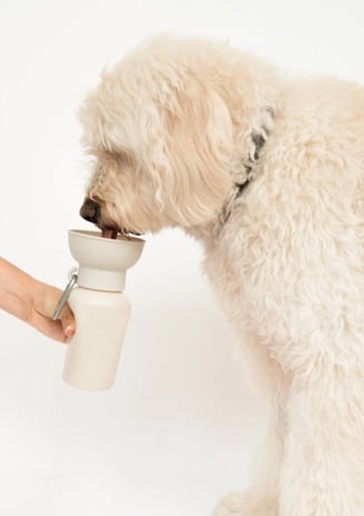 dog water bottle, silicone dog water bottle with cup, dog water bottle with cup, travel dog water
