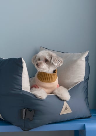 stylish pet beds, small dog beds, light dog beds, 