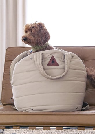 dog travel bed, foldable pet bed, small dog carrier bed, big bag pet bed