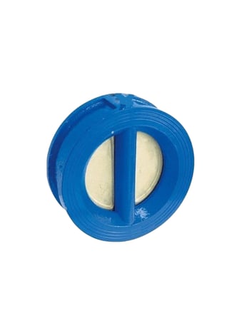 D.P Check Valve 100 mm of SK Fire Protection Shown In This Picture