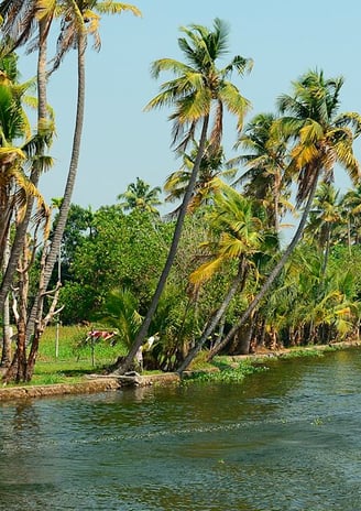 India