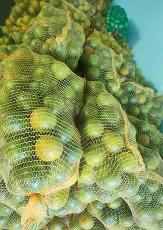 Belas laranjas ensacadas em sacos de linha amarela. Mostrando organização e qualidade!