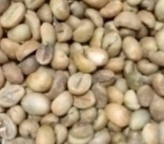 Robusta komersial