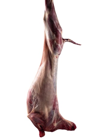 Halal-certified mutton carcass—cleanly processed and packed for export with strict hygiene standards