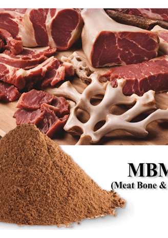 High-protein meat and bone meal (MBM) from buffalo byproducts—processed for export-grade use.