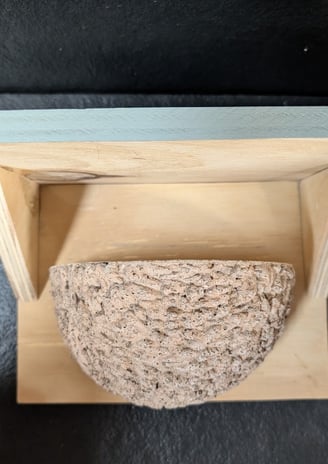 Single Swallow cup with back board and roof