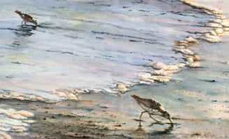 a painting of a bird on the beach