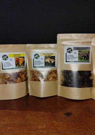 toute une gamme de champignons sauvage séchés et déshydratés girolles cèpes trompettes chanterelles 
