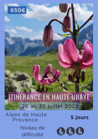 a poster for a trip in the mountains