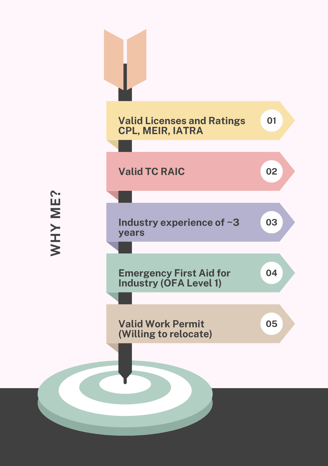 Infographic showing 5 reasons to hire me