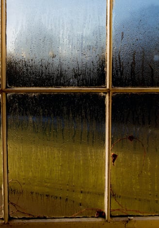Rainy window with condensation and dampness.