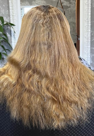 Antes: Cabelo danificado e sem vida.