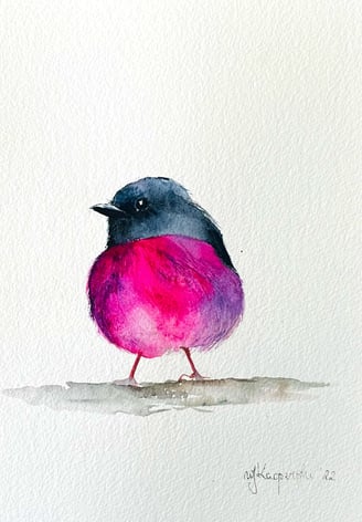 Australian Pink Robin Watercolor | Weronika Kacperski