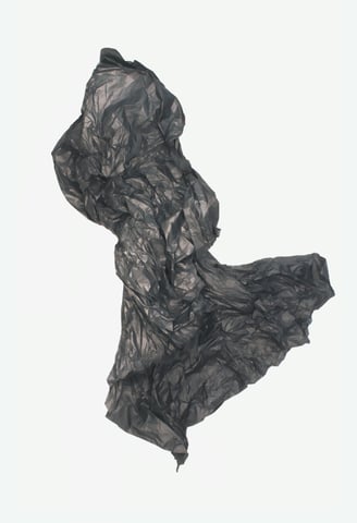 a photograph of a sculpture reminiscent of a running woman