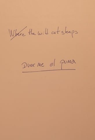 Hoja Borrador: Where the Wild Cat spleeps. Abajo: Duerme el puma.