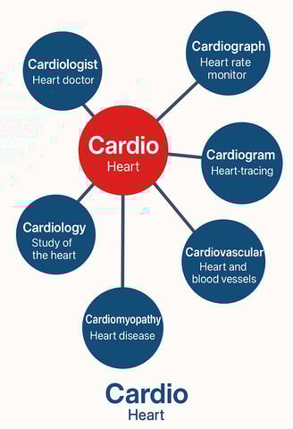 Chart of Cardio root word (Heart) showing derived vocabularyChart of Cardio root word (Heart) showing derived vocabulary