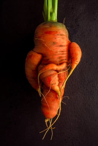 Misshapen orange carrot looking like a body with arms and legs