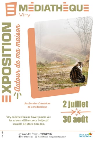 médiathèque Viry (39)