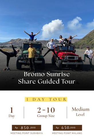 Bromo Sunrise Tour