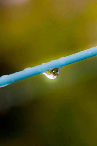 The last rain drop