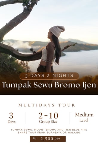 3d2n Tumpak Sewu Bromo Ijen Tour