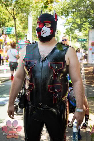 A man outdoors wearing a pup hood and latex fetish gear. By Pup KitKat 