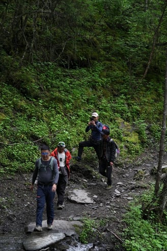 AN expedition