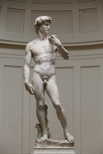 Michelangelo, David, 1501–1504