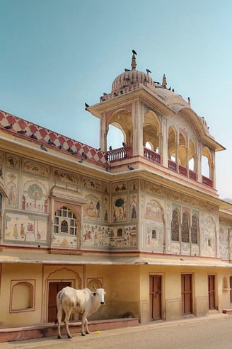 JAIPUR