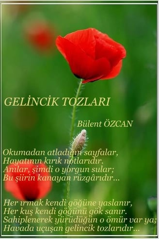 Gelincik Tozları, Poppy Sprinkles, Şiir, Poem, Bülent Özcan