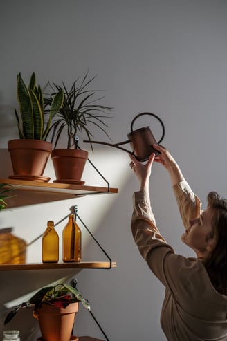 Cena relaxante: moça desfrutando do seu próprio jardim, nutrindo um ambiente repleto de serenidade.