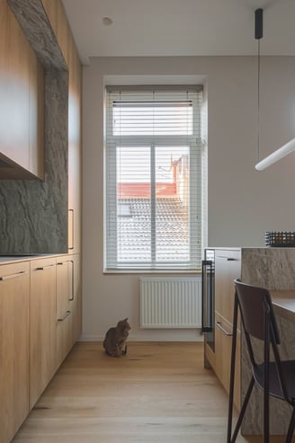 Virtuvės projektas Užupyje