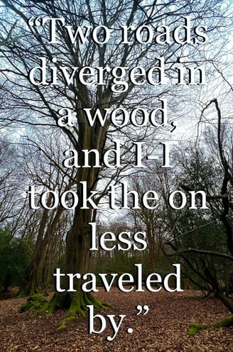 forest travel qoute "two roads diverged in a wood, and I-I took the on less traveled by"