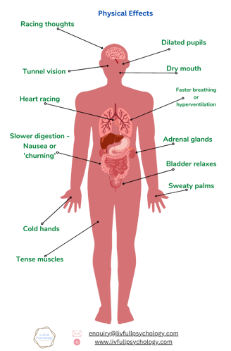 Physical effects on the body of Anxiety