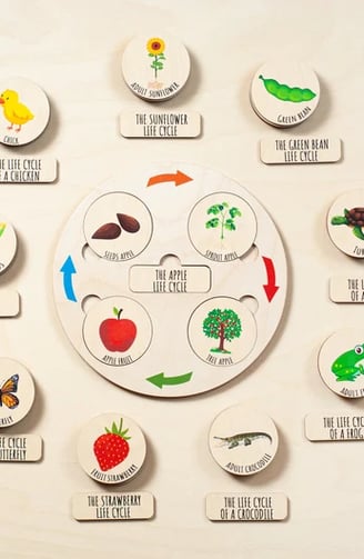 a clock with a variety of different types of food