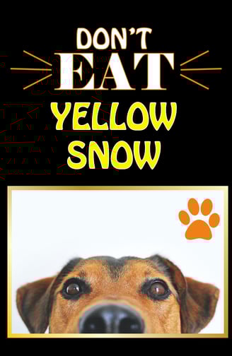 a dog is shown with a dog's face and a dog's face
