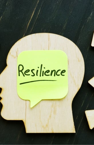 Building Resilience: Managing Stress in Professional Environments