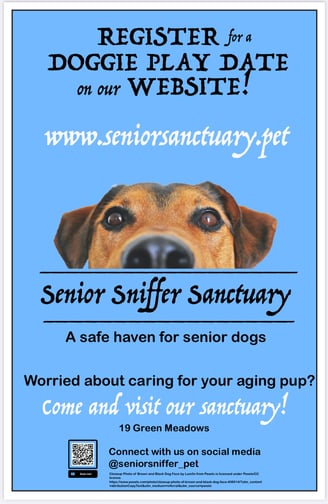 Created with Adobe Illustrator for Graphics Design Final Project 